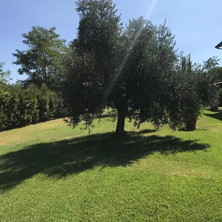 Podere San Pietro
