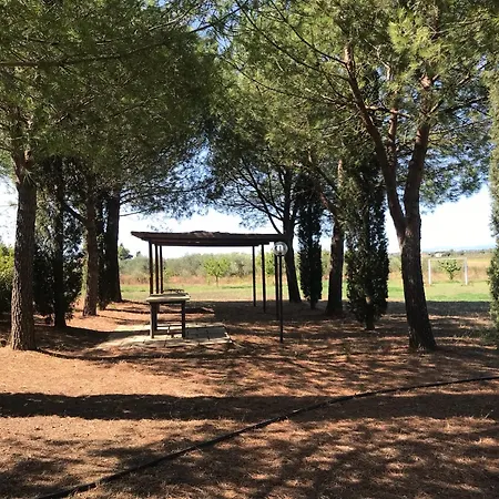 Podere San Pietro Chalet Le Case